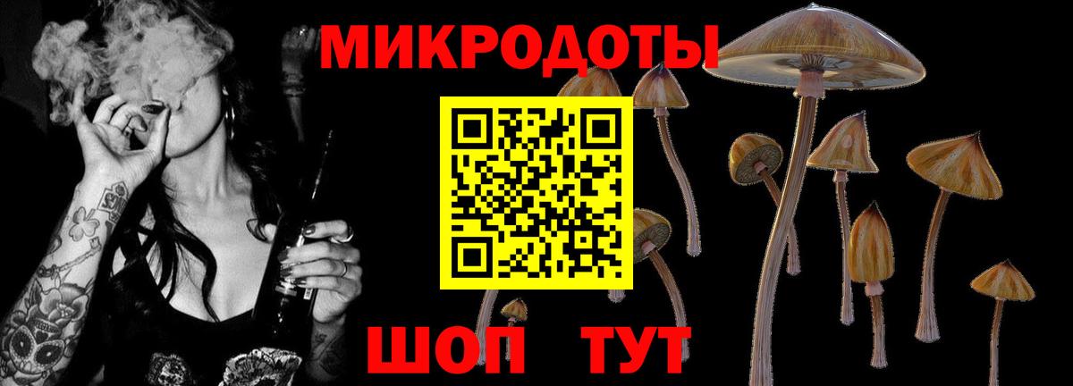 Галлюциногенные грибы мухоморы  Вход с VPN  Саранск 
